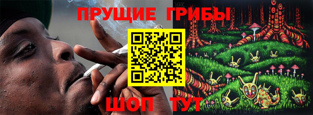 Галлюциногенные грибы ЛСД  где купить   Стерлитамак  Вход с VPN  Псилоцибиновые грибы прущие грибы 